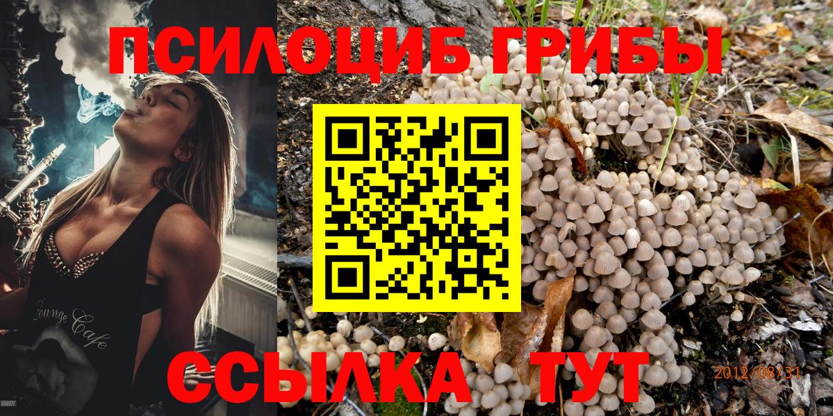 Псилоцибиновые грибы Magic Shrooms Краснознаменск