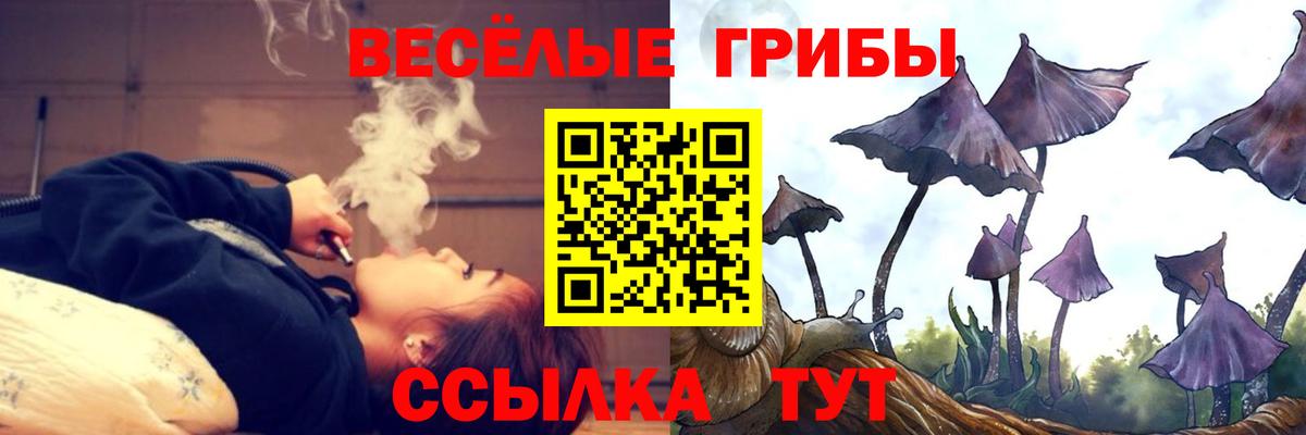 Псилоцибиновые грибы Magic Shrooms  Вход с VPN  Галлюциногенные грибы ЛСД  Краснознаменск 